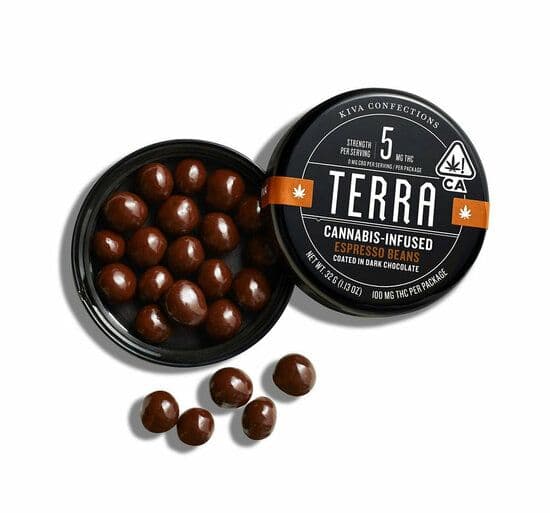 Kiva Terra 100mg Bites   Dark Chocolate Espresso (2024)