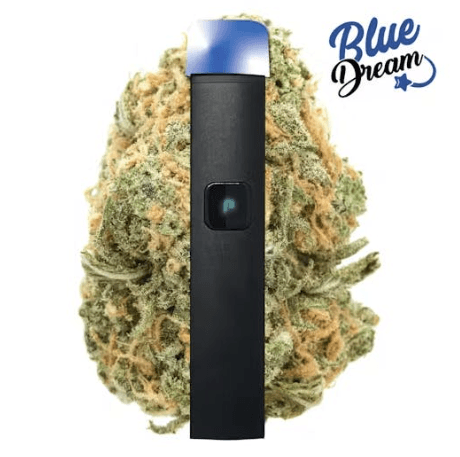 Plug N' Play 1 G Justplay Dna Disposable   Blue Dream