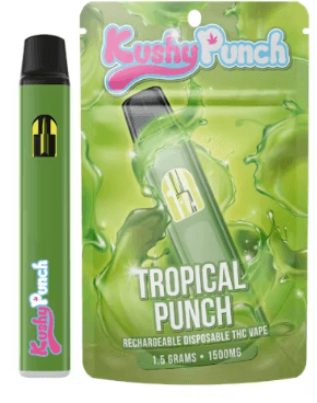 Kushy Punch 1 G Disposable   Sativa Tropical Punch